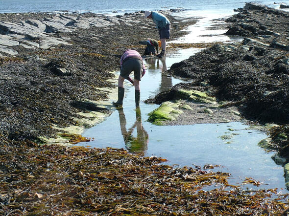 Gaan spootin' by Doug Sutherland Gaan spootin' by Doug Sutherland